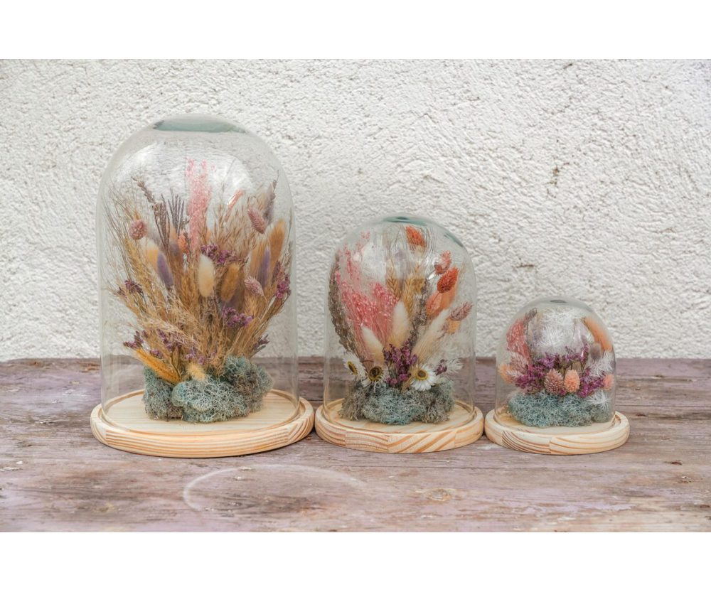 Dried flowers glass dome 