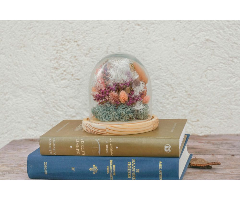 Dried flowers glass dome 