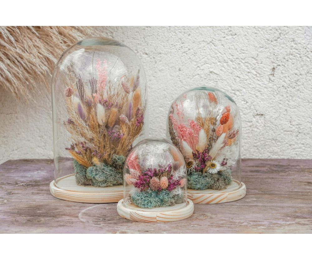 Dried flowers glass dome 