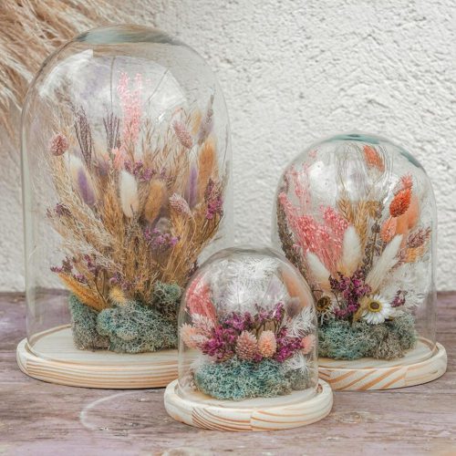 nema concept Dried flowers glass dome 